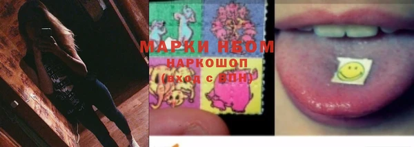 амф Елабуга