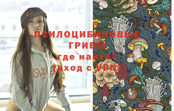 соль курить ск Ельня
